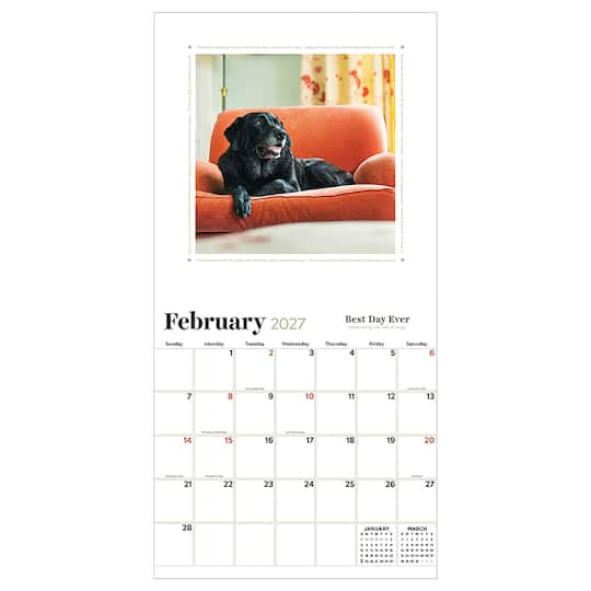 2027 Best Day Ever: Celebrating The Life of Dogs Wall Calendar